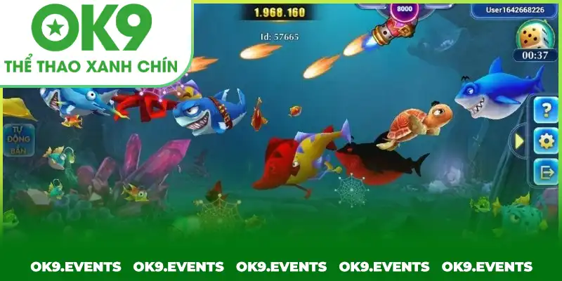 Bắn cá H5 thiết kế đơn giản nhưng cực kỳ lôi cuốn thành viên