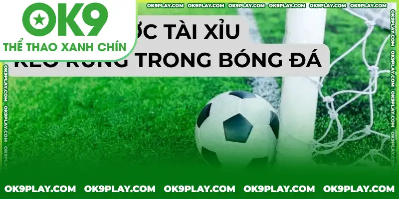 Kèo rung tài xỉu - lựa chọn hàng đầu của bet thủ